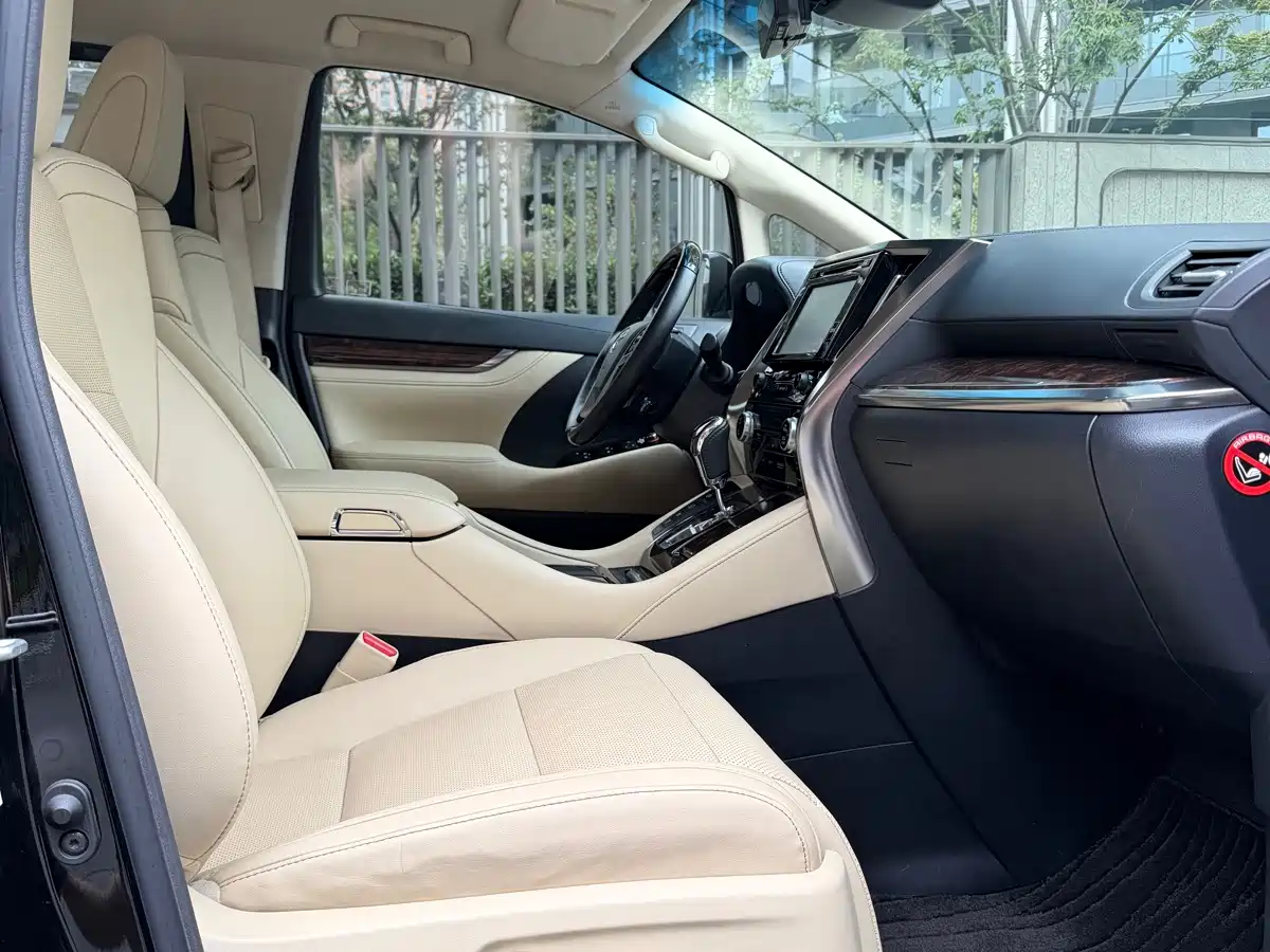 Фото 8 - Toyota Alphard