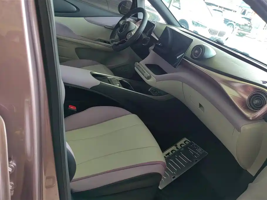 BYD Dolphin 2021 Model 405km Fashion Edition фото 8