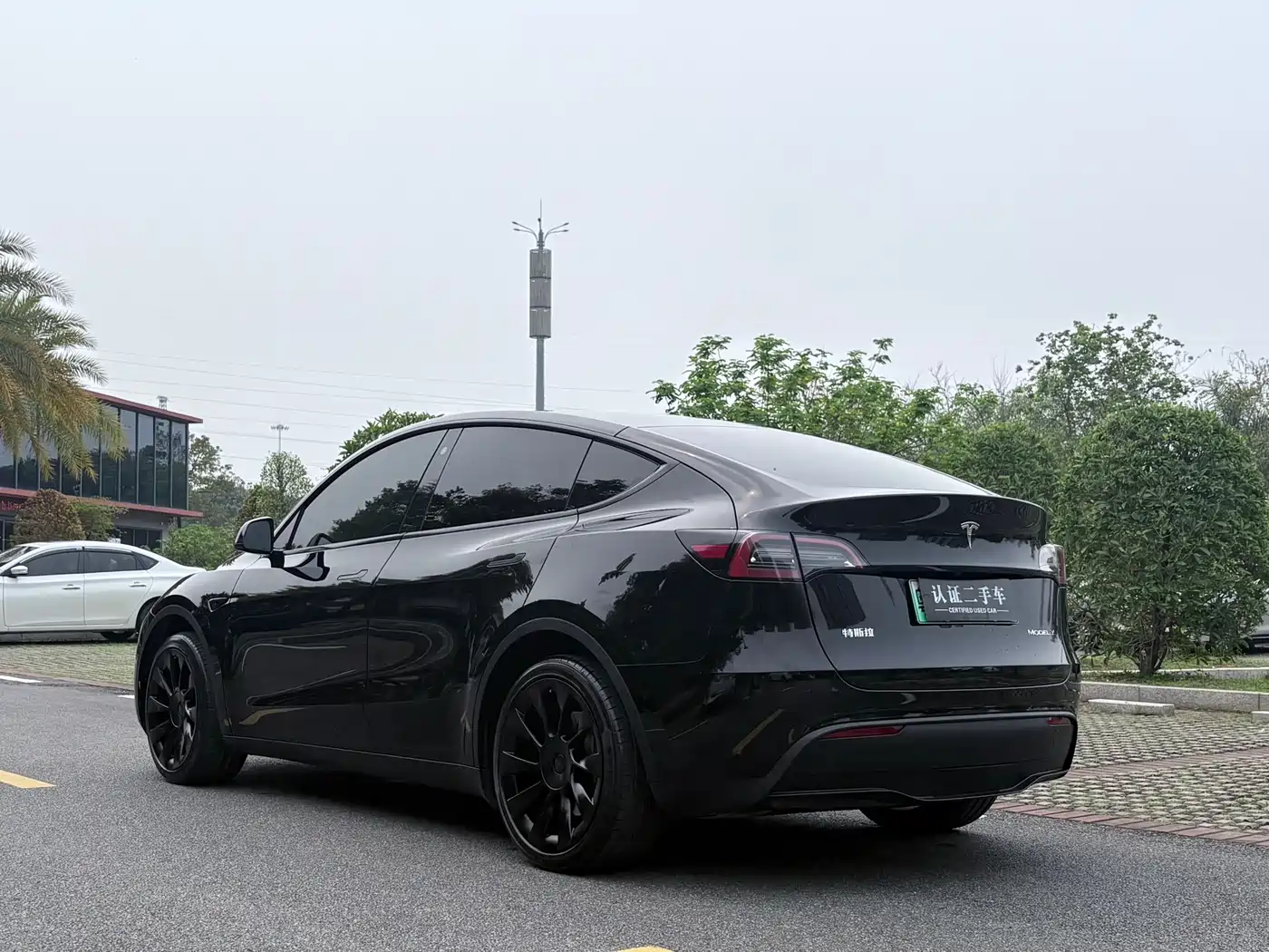 TESLA MODEL Y