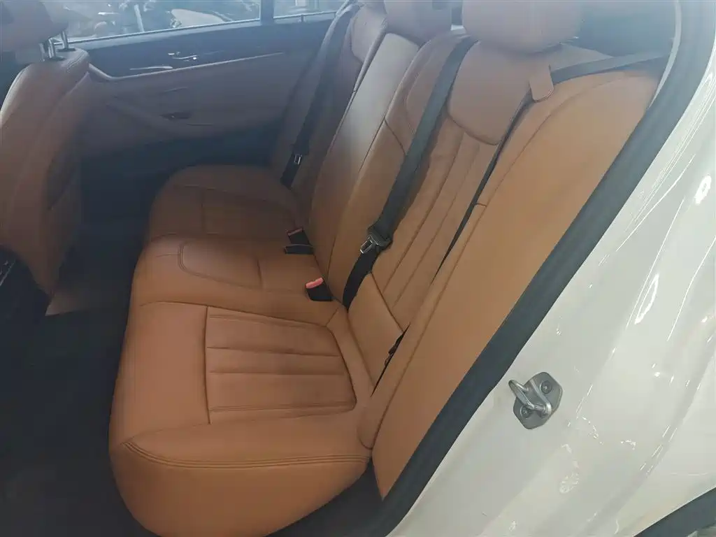 BMW 5 Series 2018 528Li Launch Special Edition фото 13