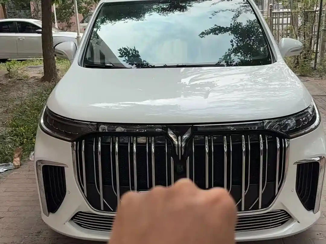 Voyah Auto Voyah Dreamer 2022 Low-carbon Dream+Smart Package фото 2