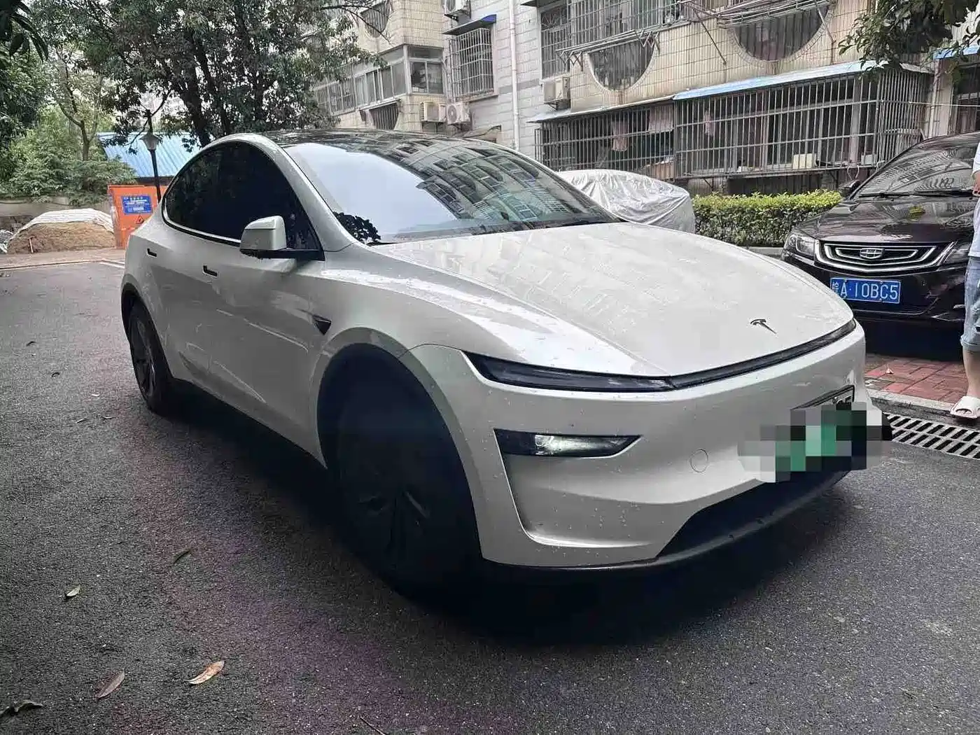Tesla Model Y 2025 Rear-Wheel Drive