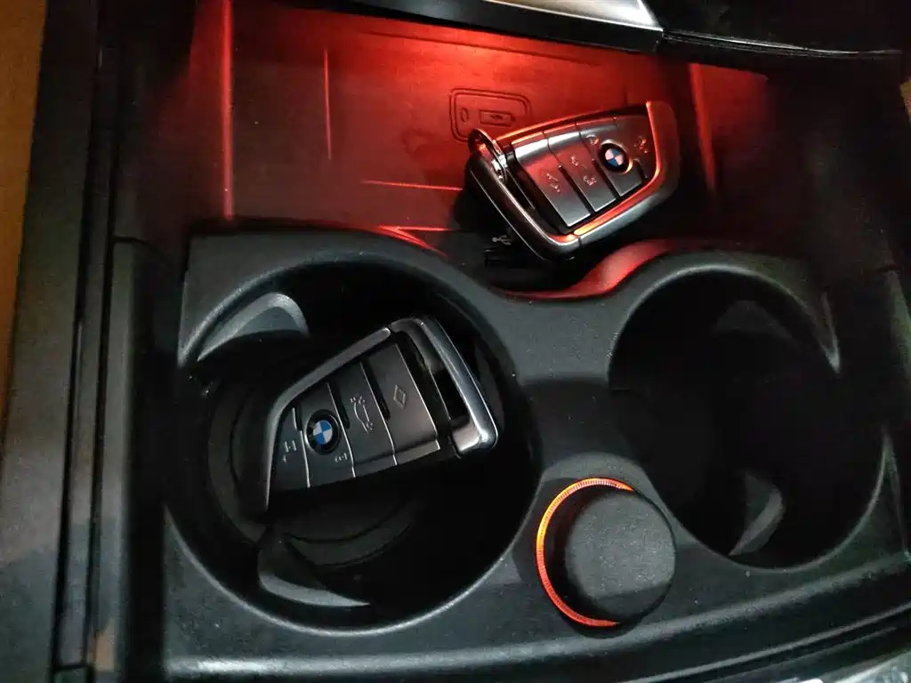 BMW 5 Series 2020 530Li Exclusive M Sport Package фото 9