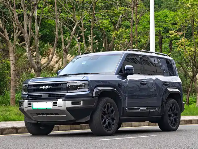 BYD LEOPARD 5