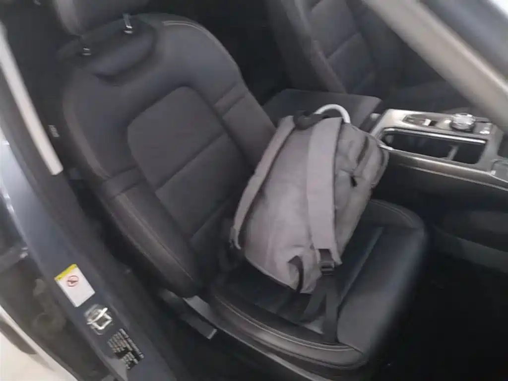 Haval Big Dog 2021 1.5T DCT 2WD Labrador Edition фото 25