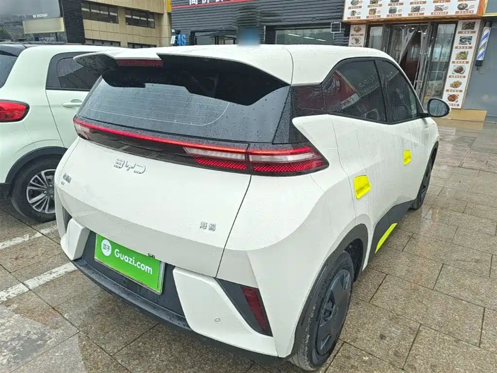 BYD Seagull 2025 Smart Drive Edition 305km Vitality Version фото 7
