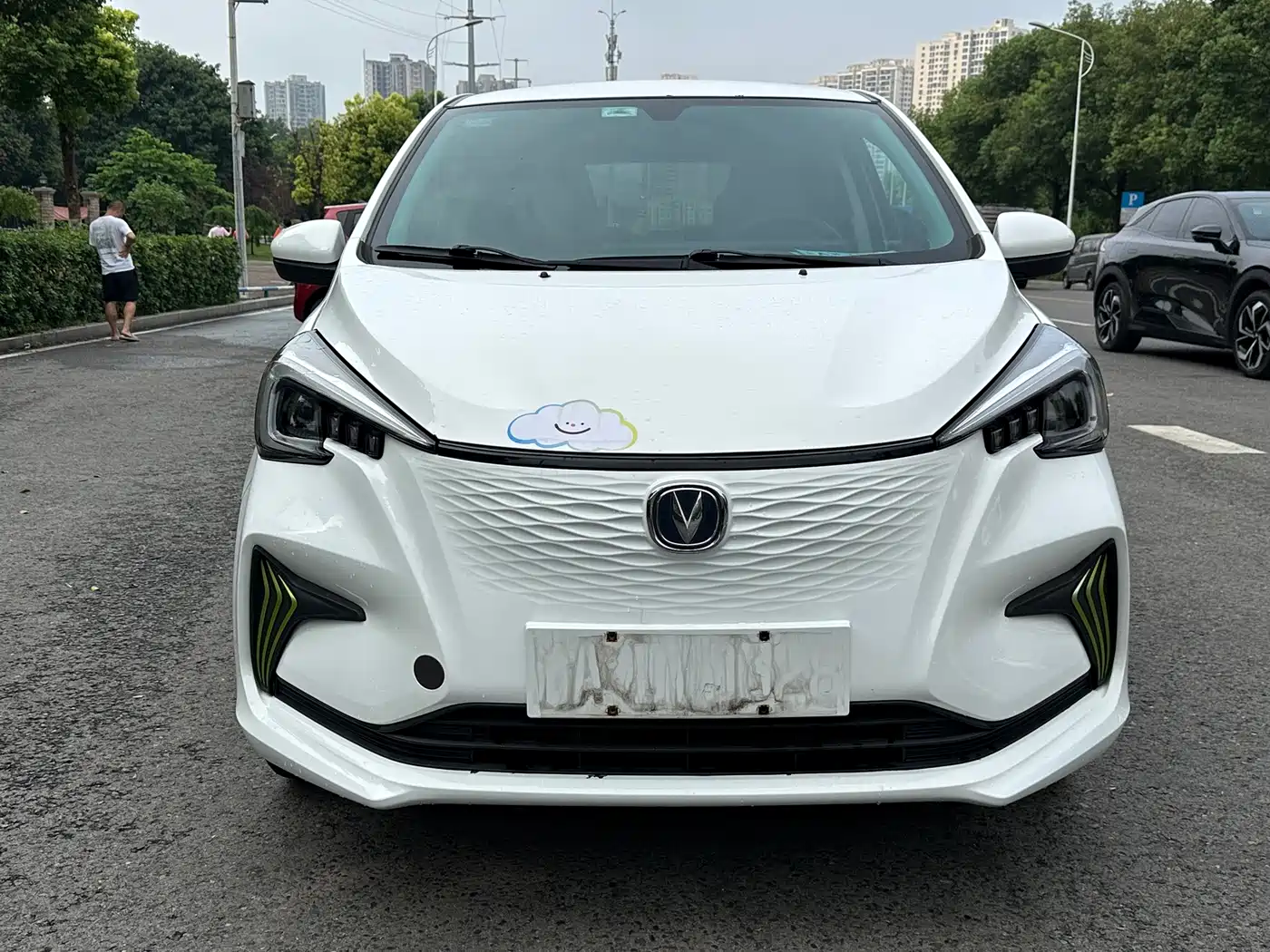 Changan Benben E-Star 2022 2022 Delight Colorful NMC