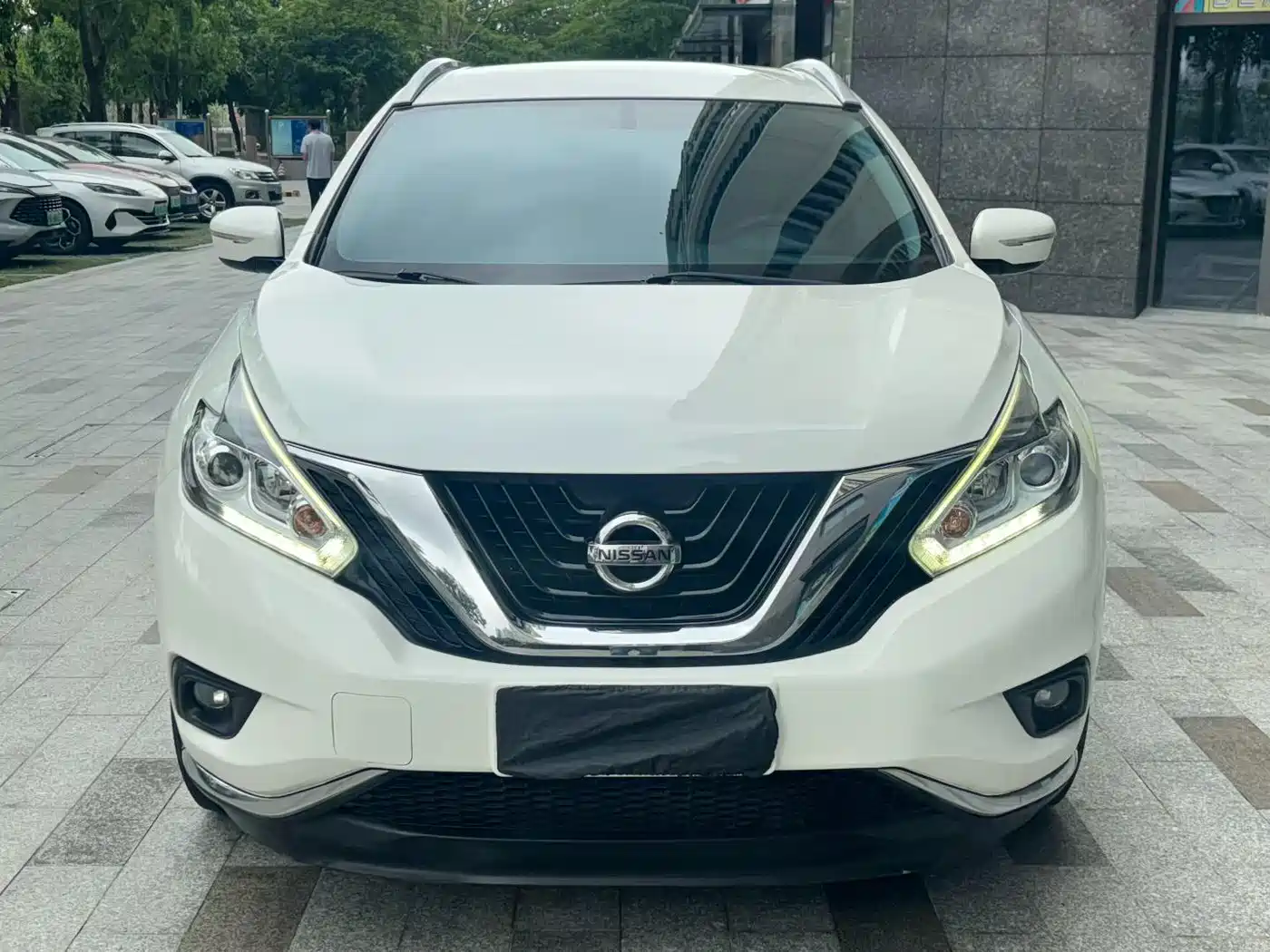 Nissan Murano 2017 2.5L XE 2WD Elite Edition фото 2