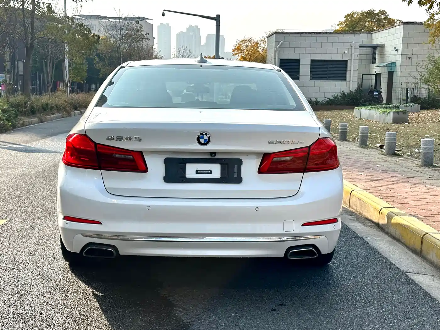 BMW 5 Series New Energy 2020 530Le Luxury Package фото 18