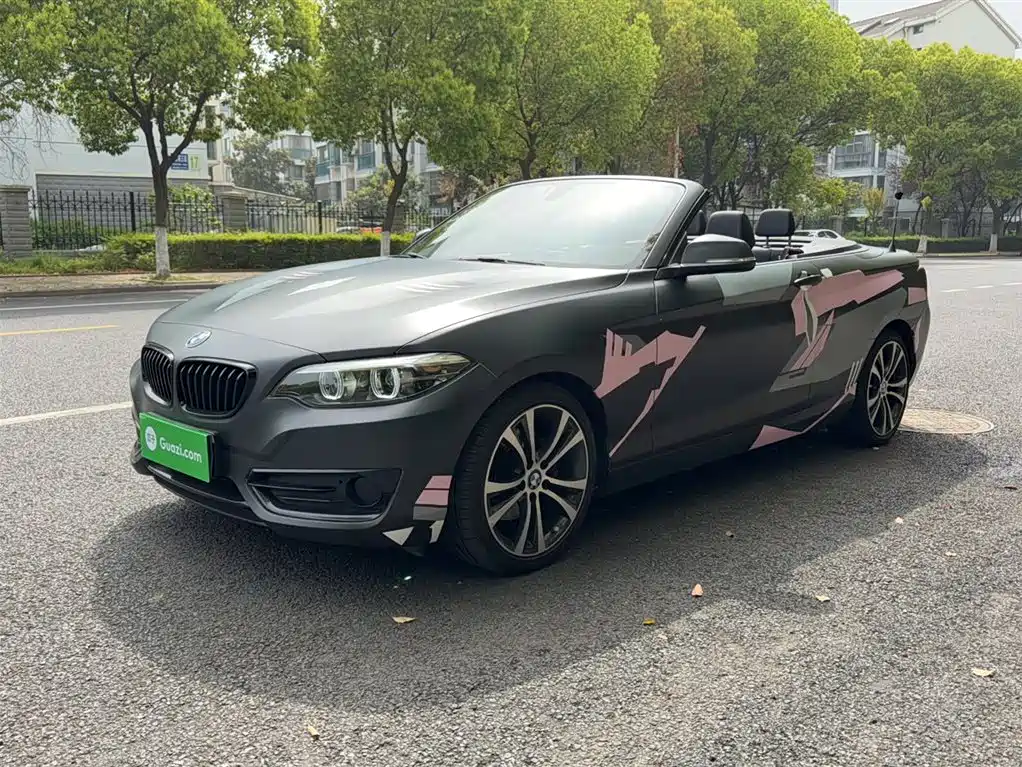 BMW 2 Series (Import) 2019 225i Convertible Coupe Sport Design Package