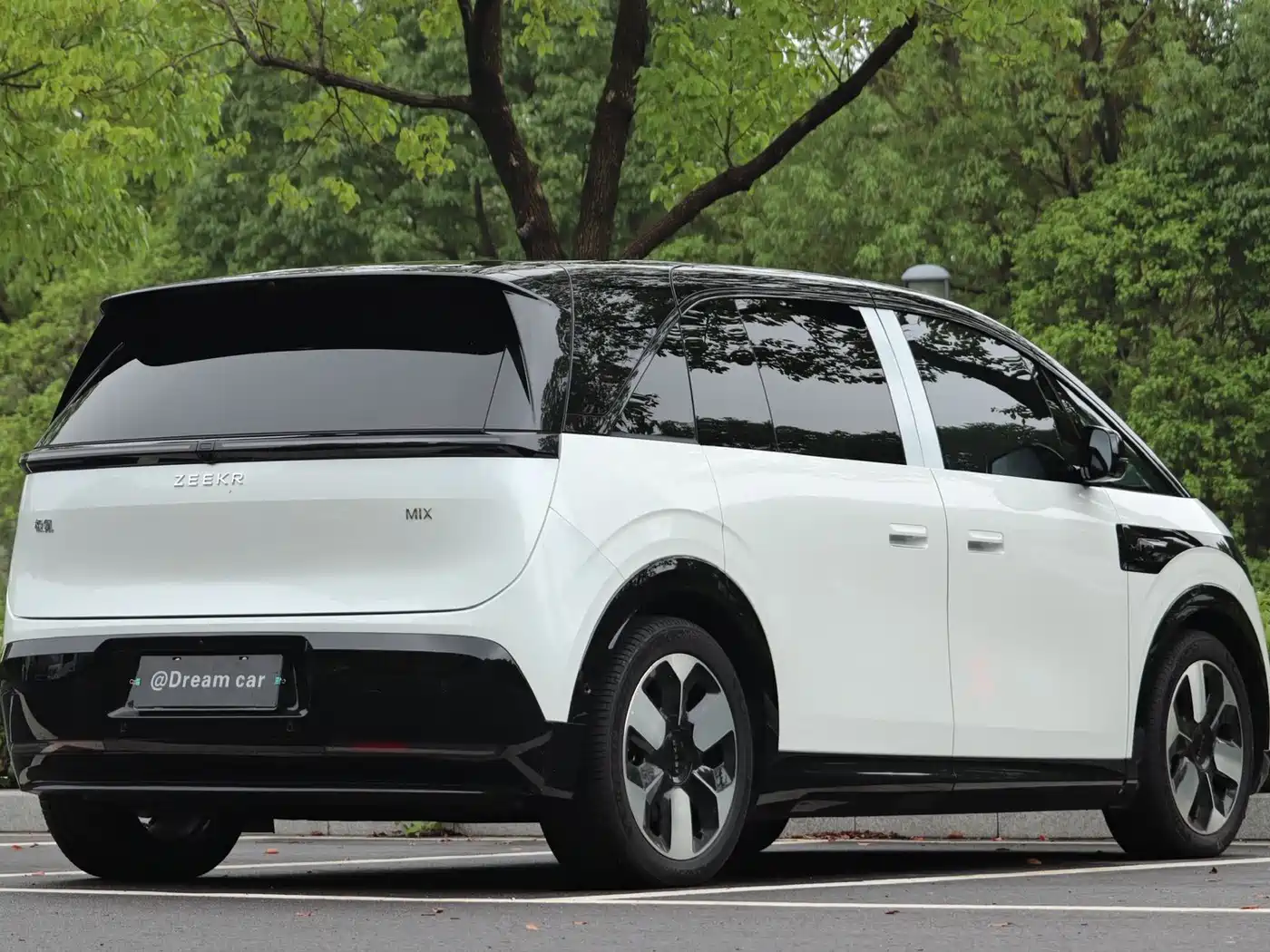 ZEEKR MIX 2025 2025 Long Range Intelligent Driving Edition