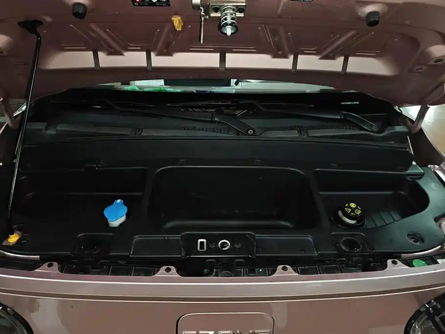 Geely Galaxy Panda 2023 Panda Mini 200km Endurance Bear фото 10