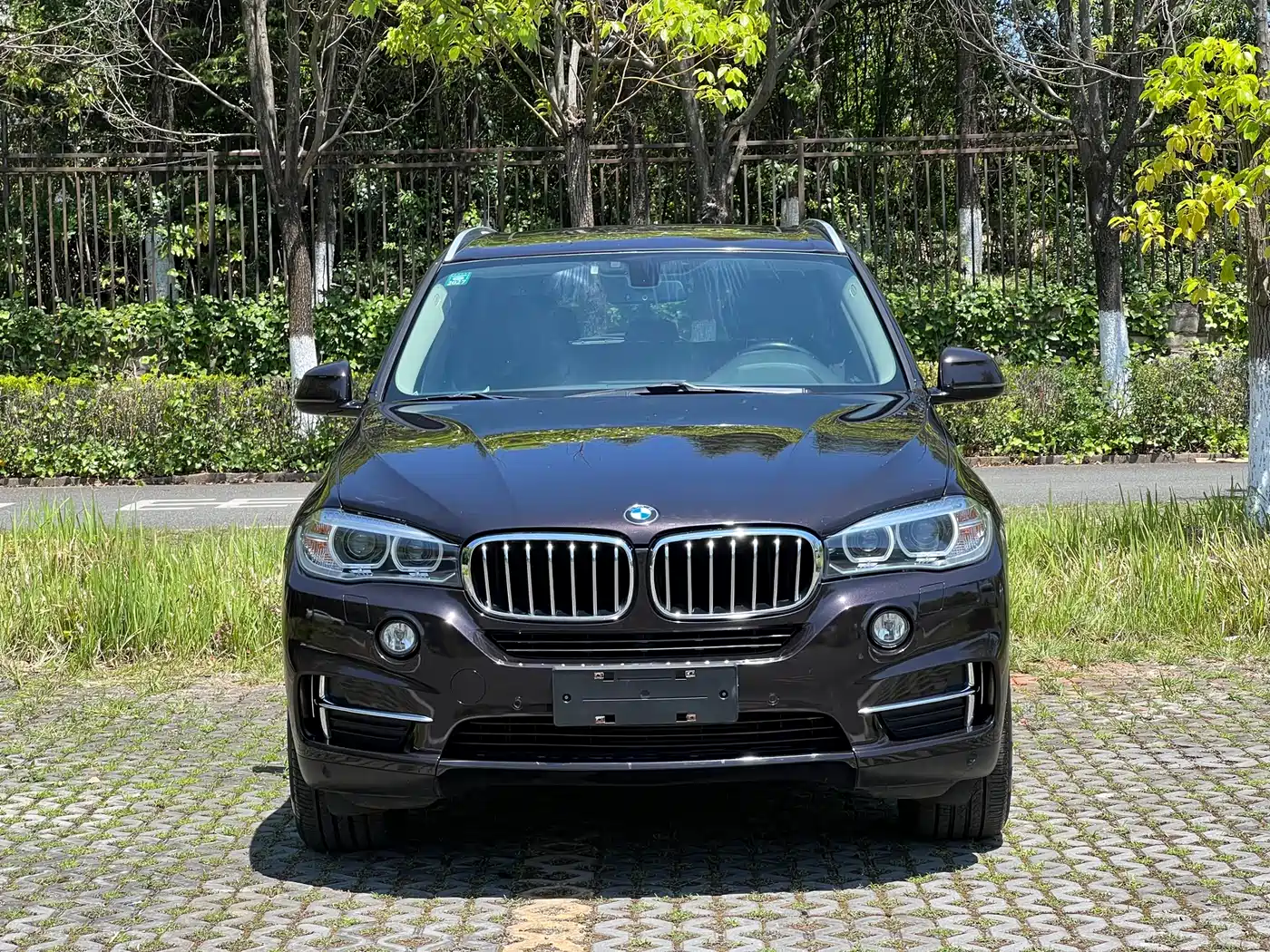 BMW X5 (Import) 2017 xDrive35i Elegance фото 2