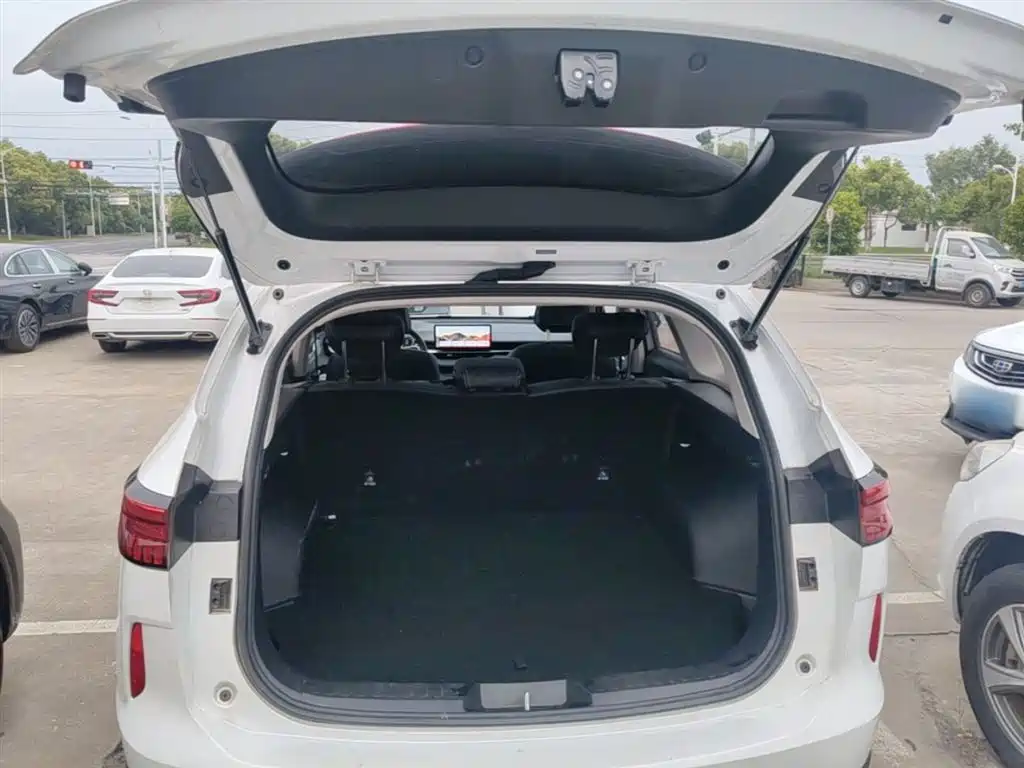Haval H6 2022 3rd Gen 1.5T Auto 2WD Pro фото 19