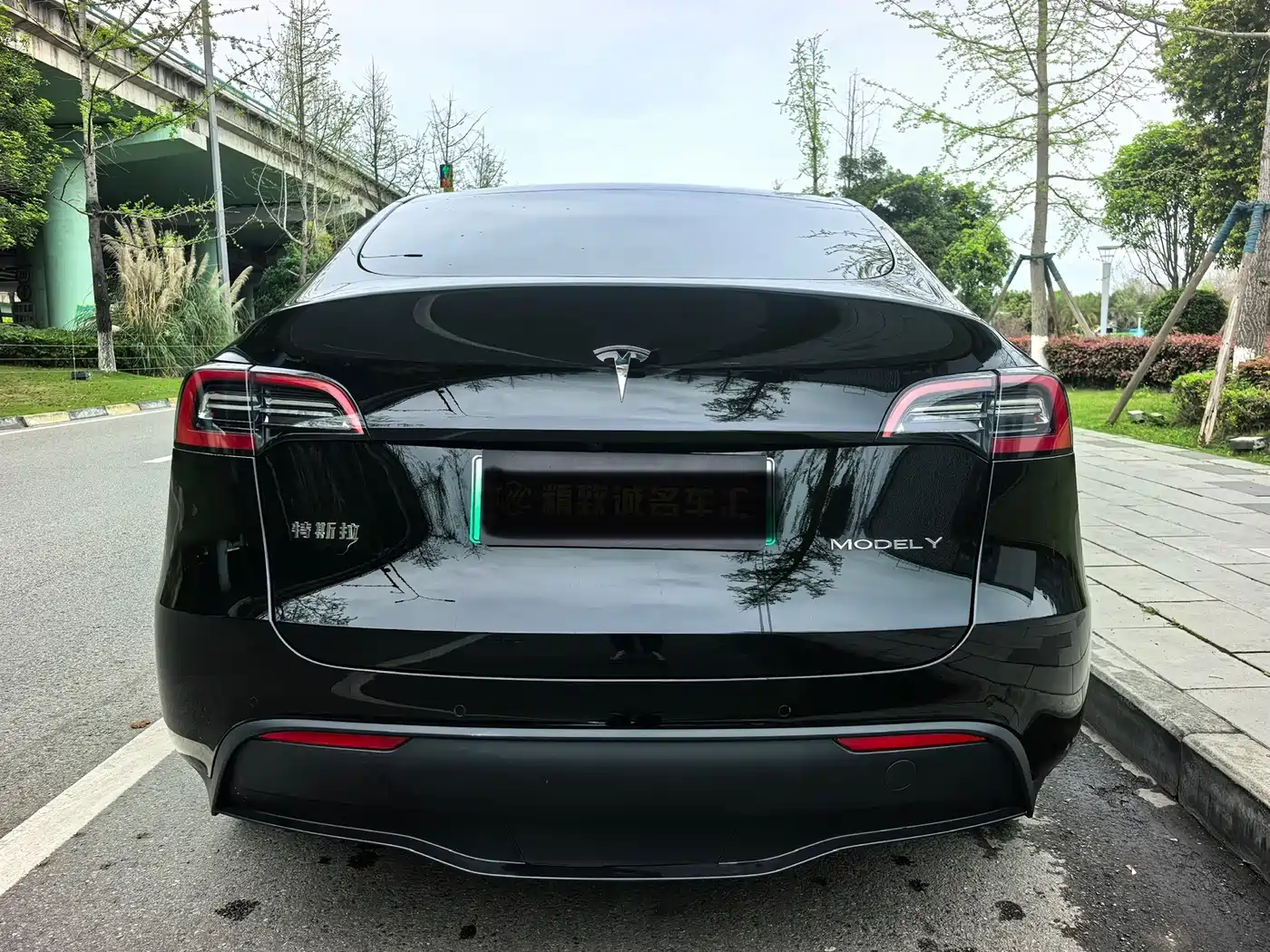 TESLA MODEL Y