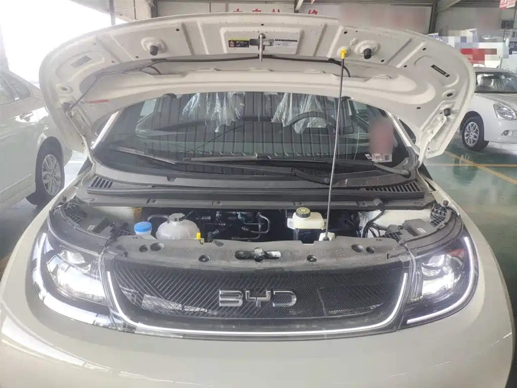 BYD Dolphin 2025 420km Freedom Edition фото 20
