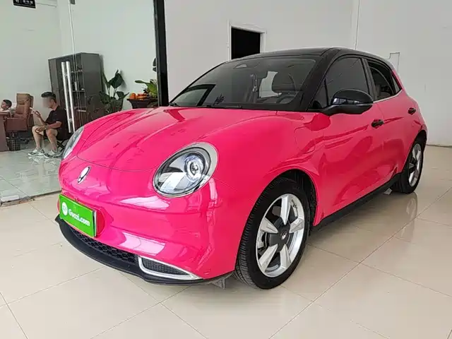  Ora Ora Good Cat 2023 401km Standard Range Honor Edition (LFP)