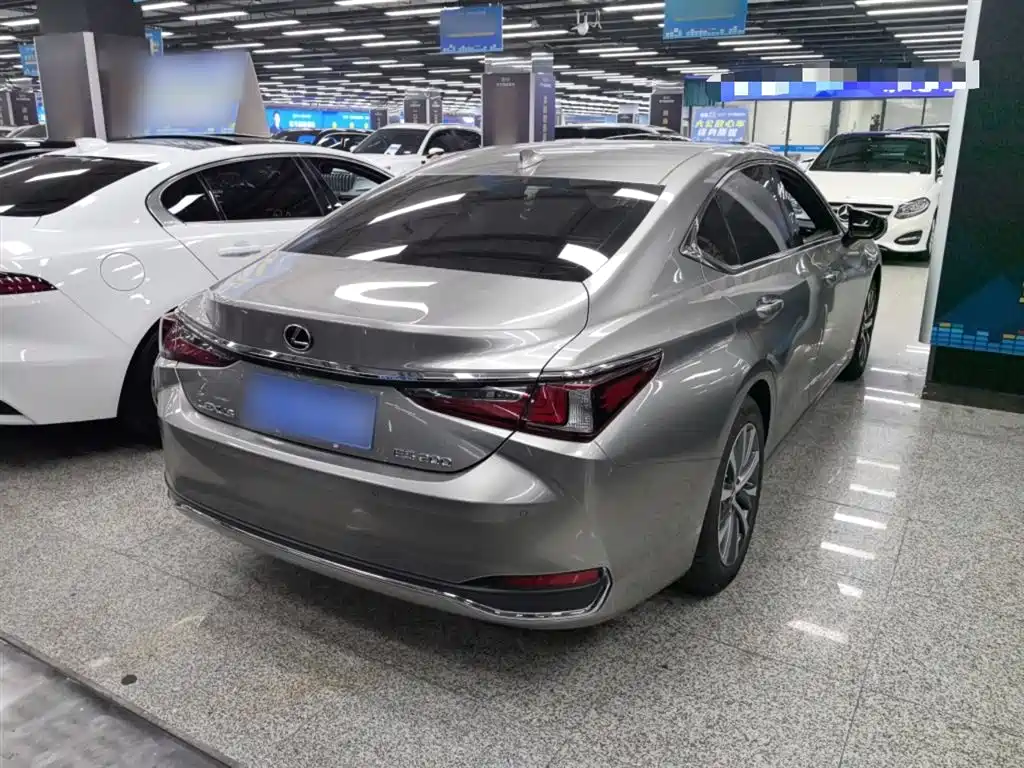 Lexus ES 2020 200 Luxury фото 5
