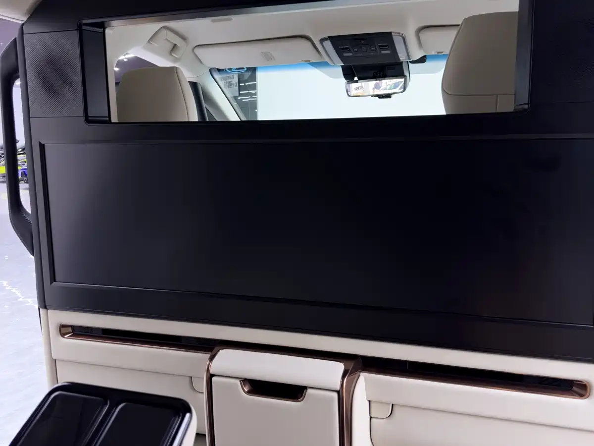 Фото 27 - Lexus LM