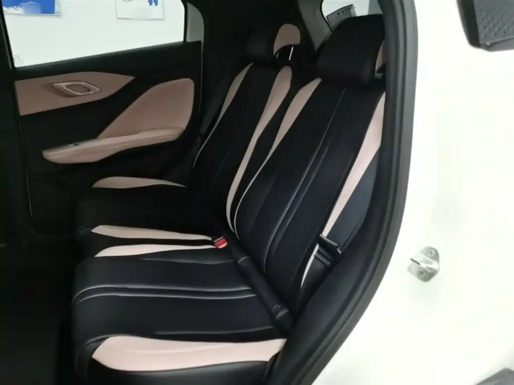 BYD Seagull 2025 305km Vitality фото 13