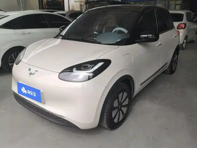 WULING WULING BINGGUO