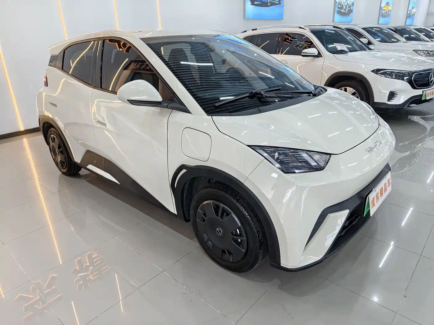 BYD Seagull 2026 2025 305km Vitality