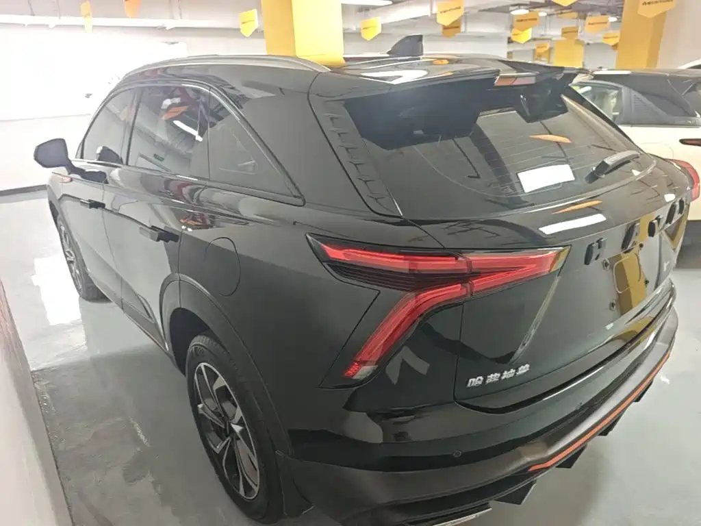 Haval Shenshou 2023 2023 1.5T Smart Enjoy Edition