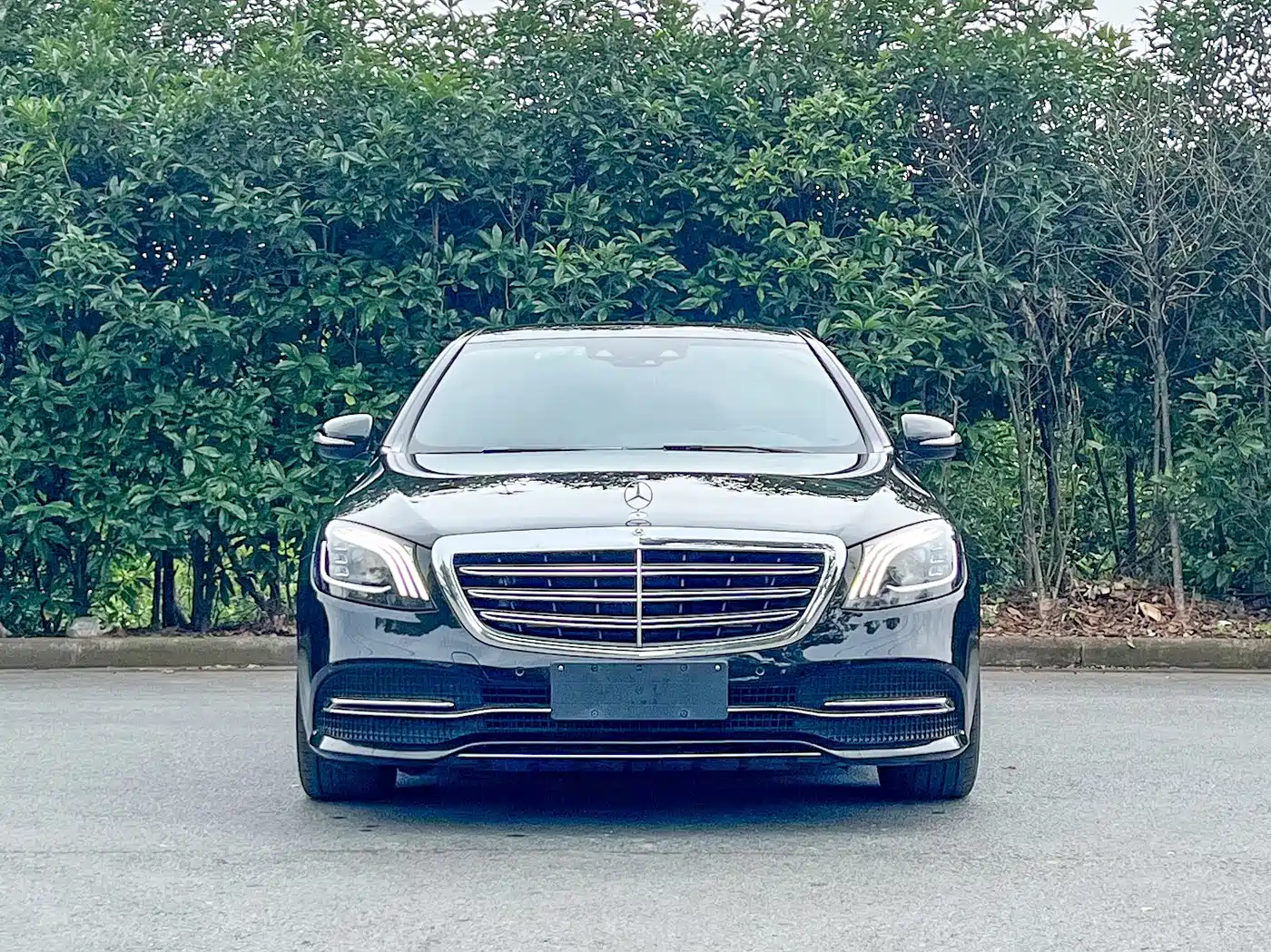 Mercedes-Benz S-Class 2020 S 350 L Business Edition Collector's Version фото 2