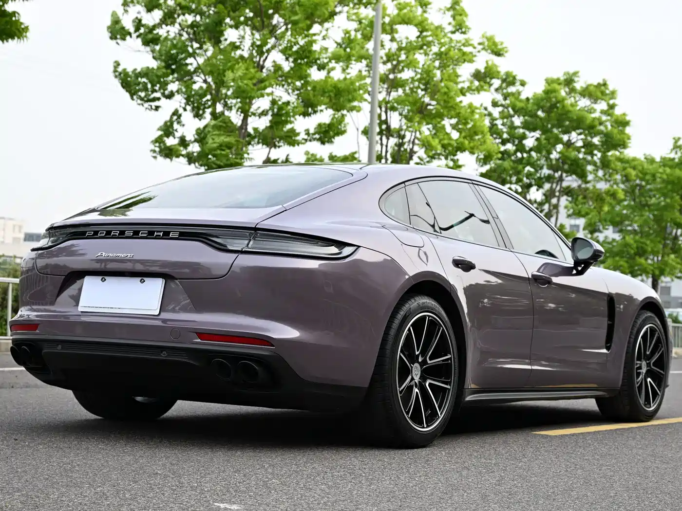 Porsche Panamera 2019 Panamera 2.9T фото 14