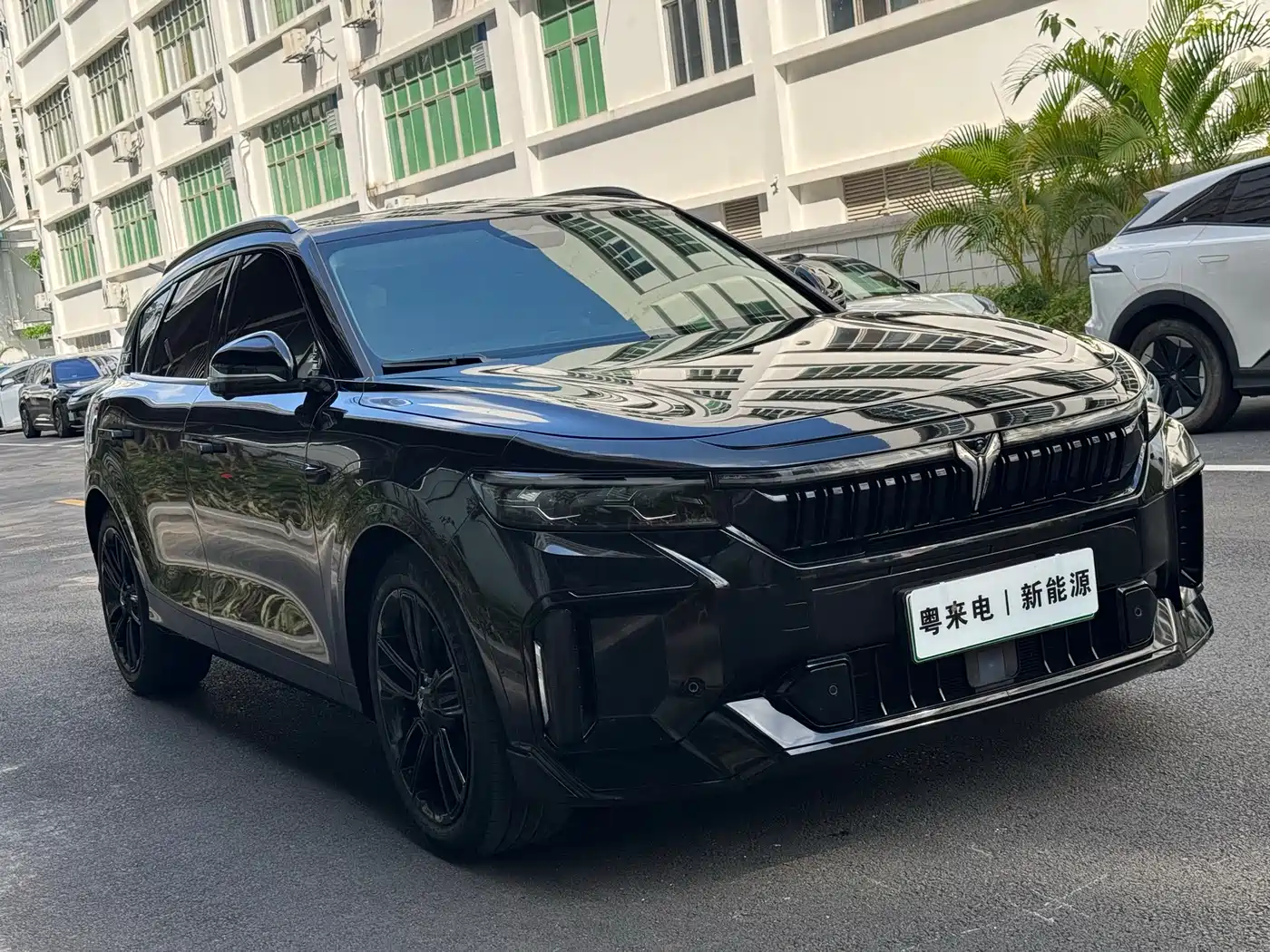 Voyah Auto VOYAH FREE 2024 Ultra Long Range Intelligent Driving Edition фото 3