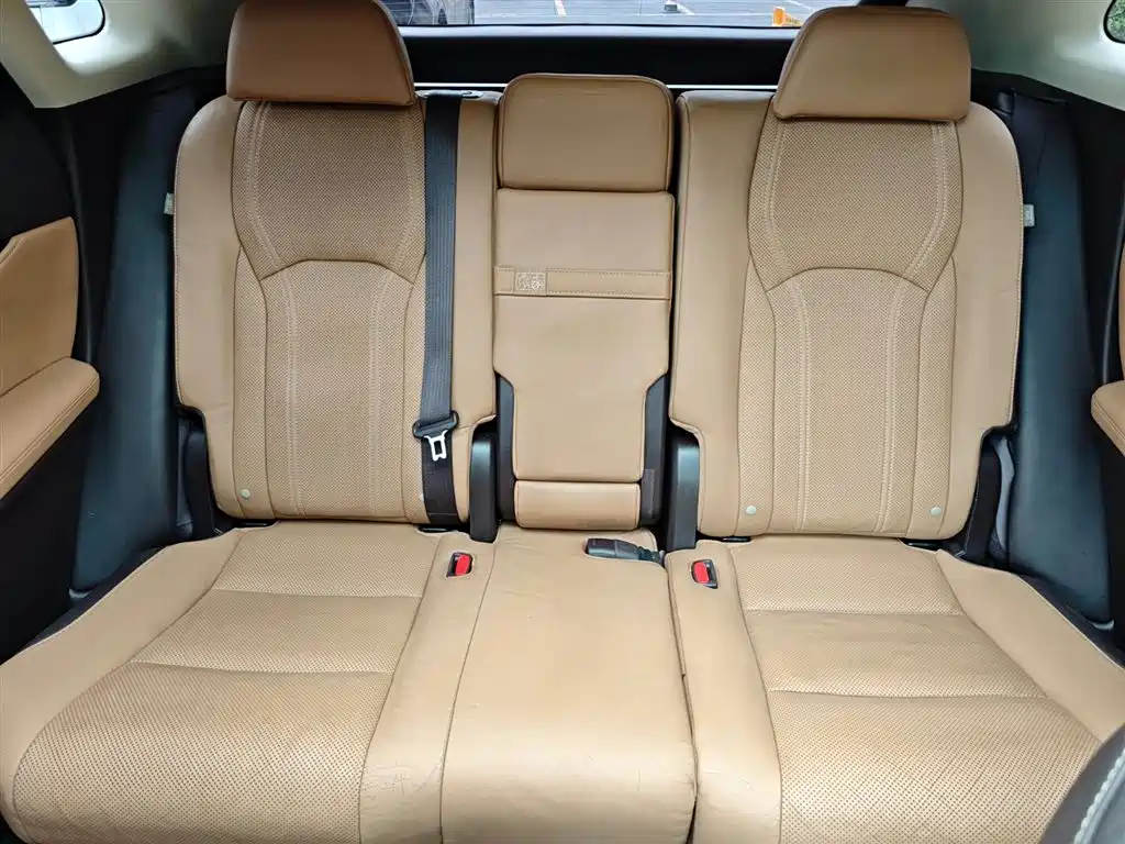 Lexus RX 2016 300 4WD Elegance Edition (China V) фото 23