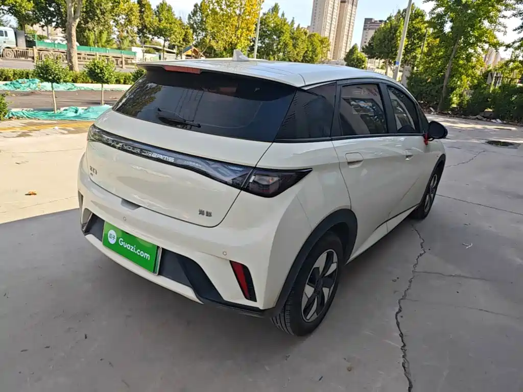 BYD Dolphin 2026 2025 420km Freedom Edition