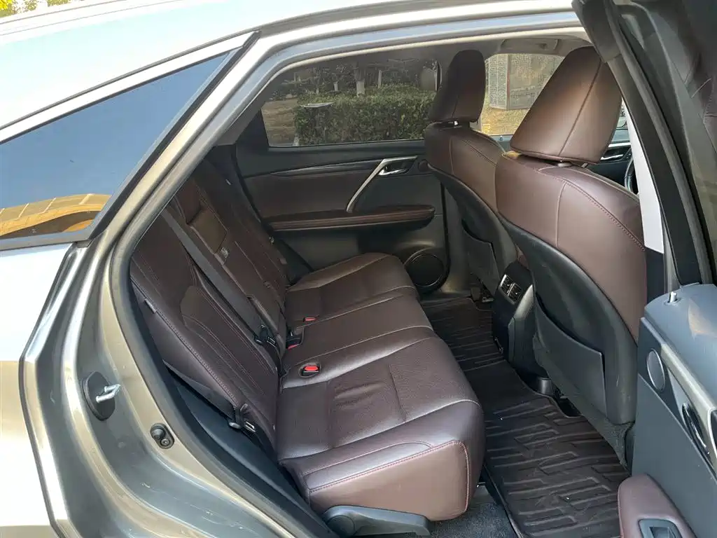 Lexus RX 2020 300 4WD Elegance Edition China VI фото 18