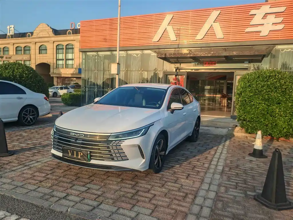BYD Destroyer 05 2024