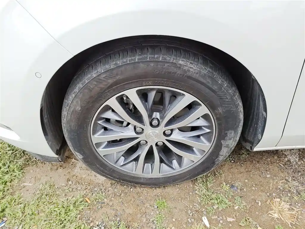 Buick GL8 2021 ES Landlord 653T Premium фото 23