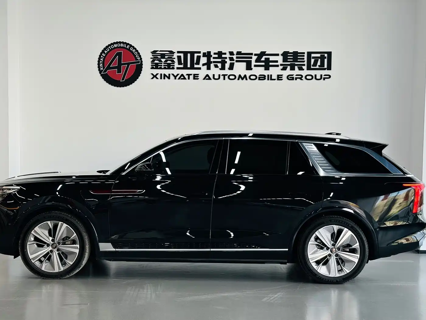 Hongqi HONGQI E HS9
