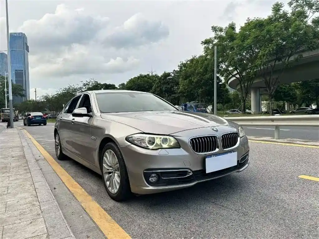 BMW 5 Series 2014 525Li Luxury Design Package фото 3
