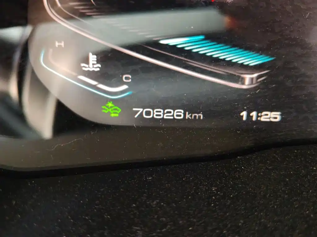 2021 WEY VV6
