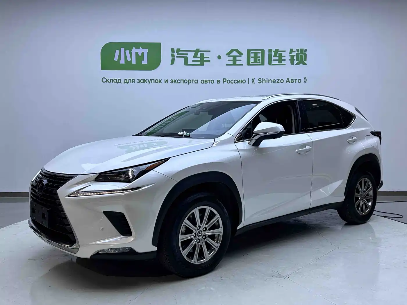 LEXUS NX