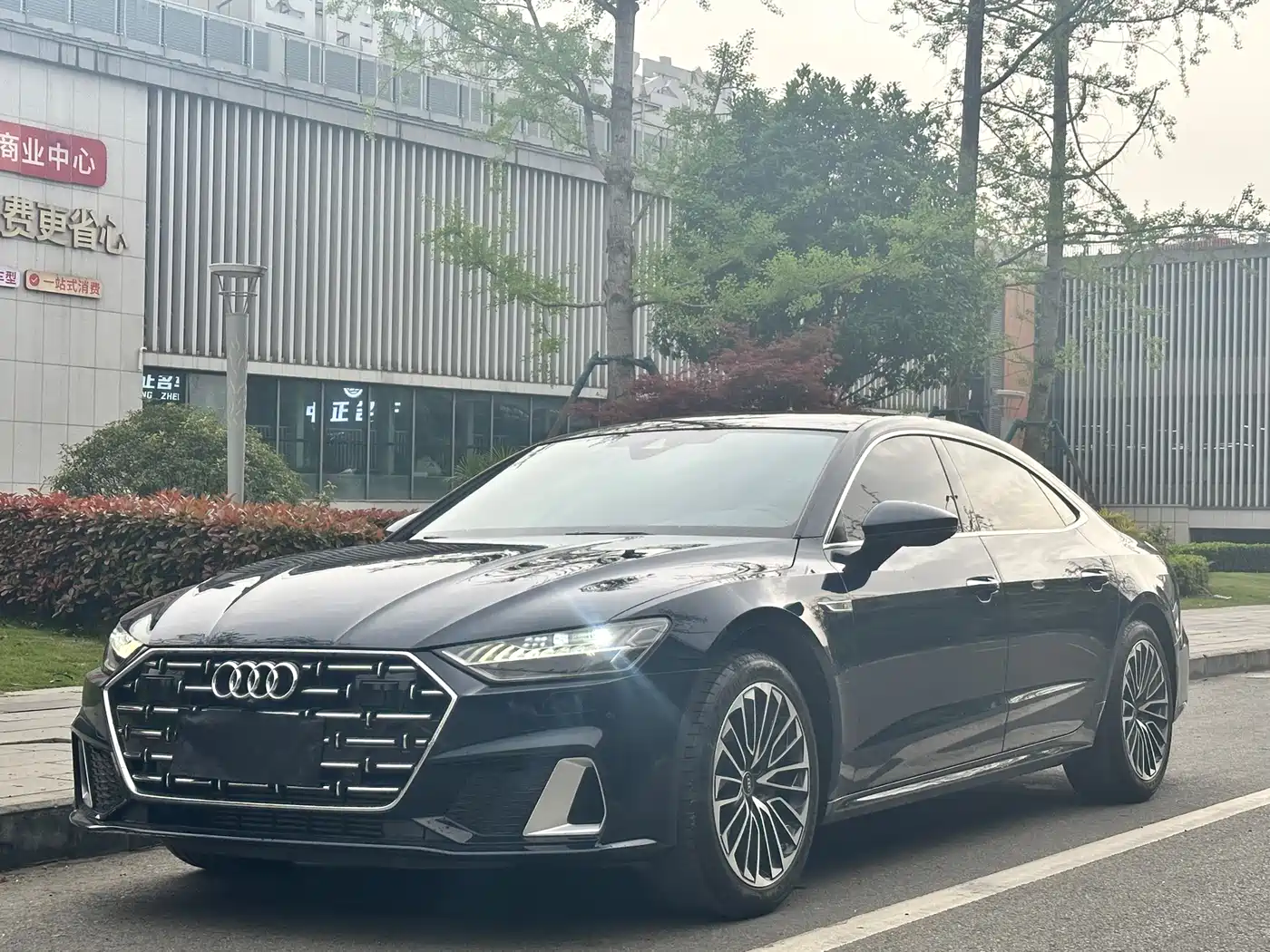 Audi A7L 2024 45 TFSI Luxury