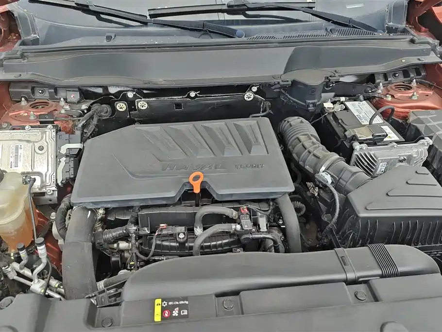 Haval Big Dog 2021 1.5T DCT 2WD Border Collie - Wangcai Edition фото 10