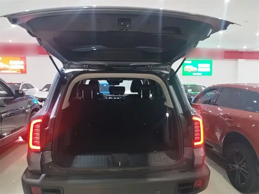 Haval Big Dog 2021 1.5T DCT 2WD Labrador Edition фото 19