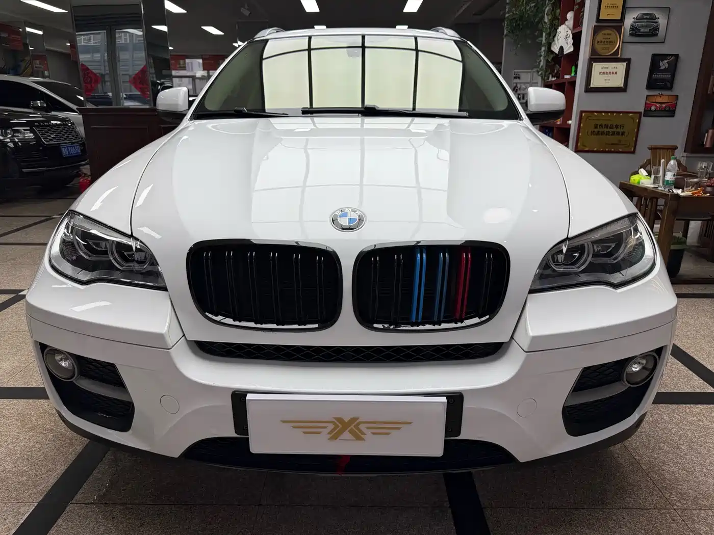 BMW X6 2013 xDrive35i фото 2