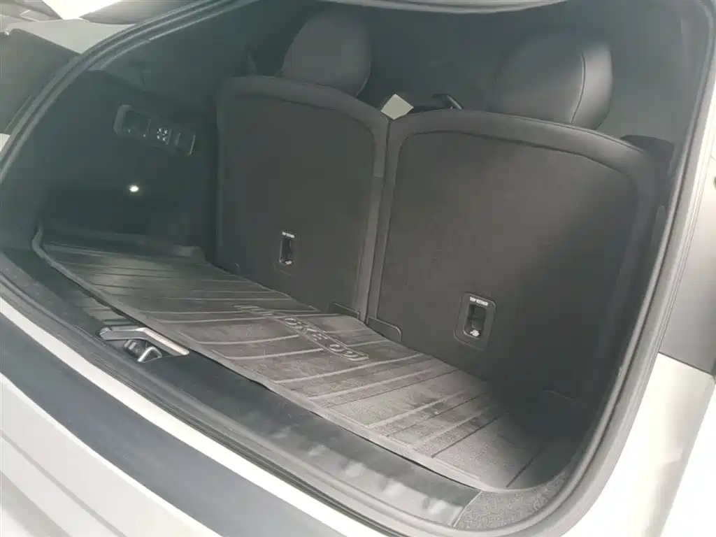 Lynk & Co 09 EM-P 2021 2.0T PHEV Halo 6-seater фото 19
