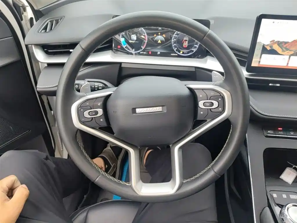 Haval H6 2022 3rd Gen 1.5T Auto 2WD Pro фото 11