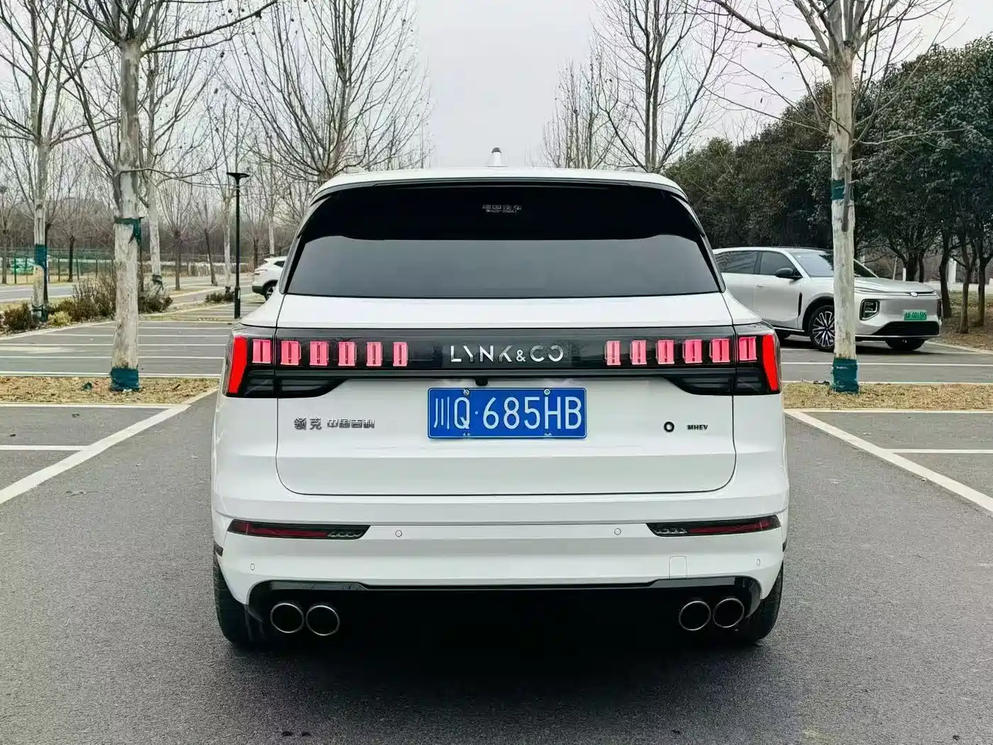 Lynk & Co 09 2021 2.0T Ultra 6-Seater фото 9