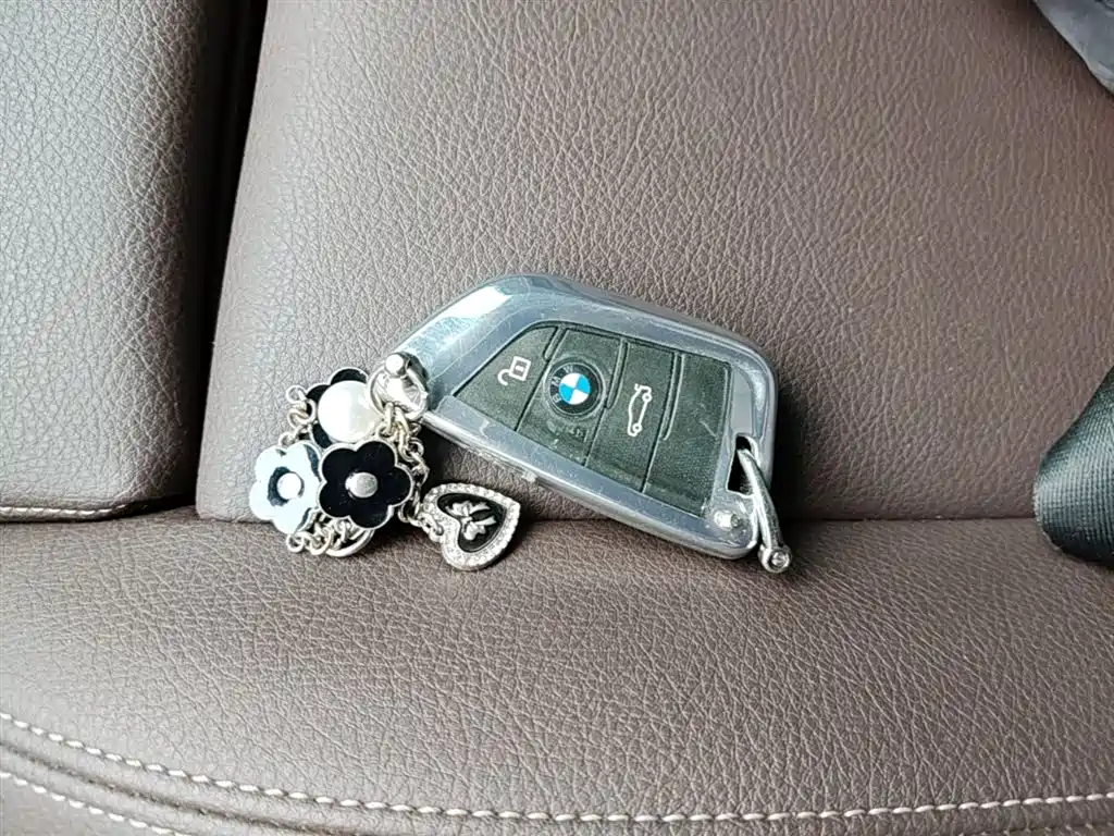 BMW X1 2020 sDrive20Li Fashion Model фото 9