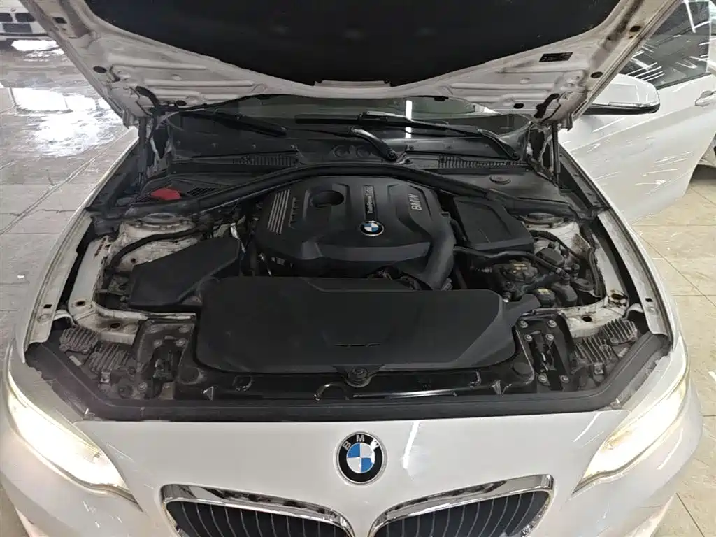 BMW 2 Series (Import) 2017 220i Leading фото 20