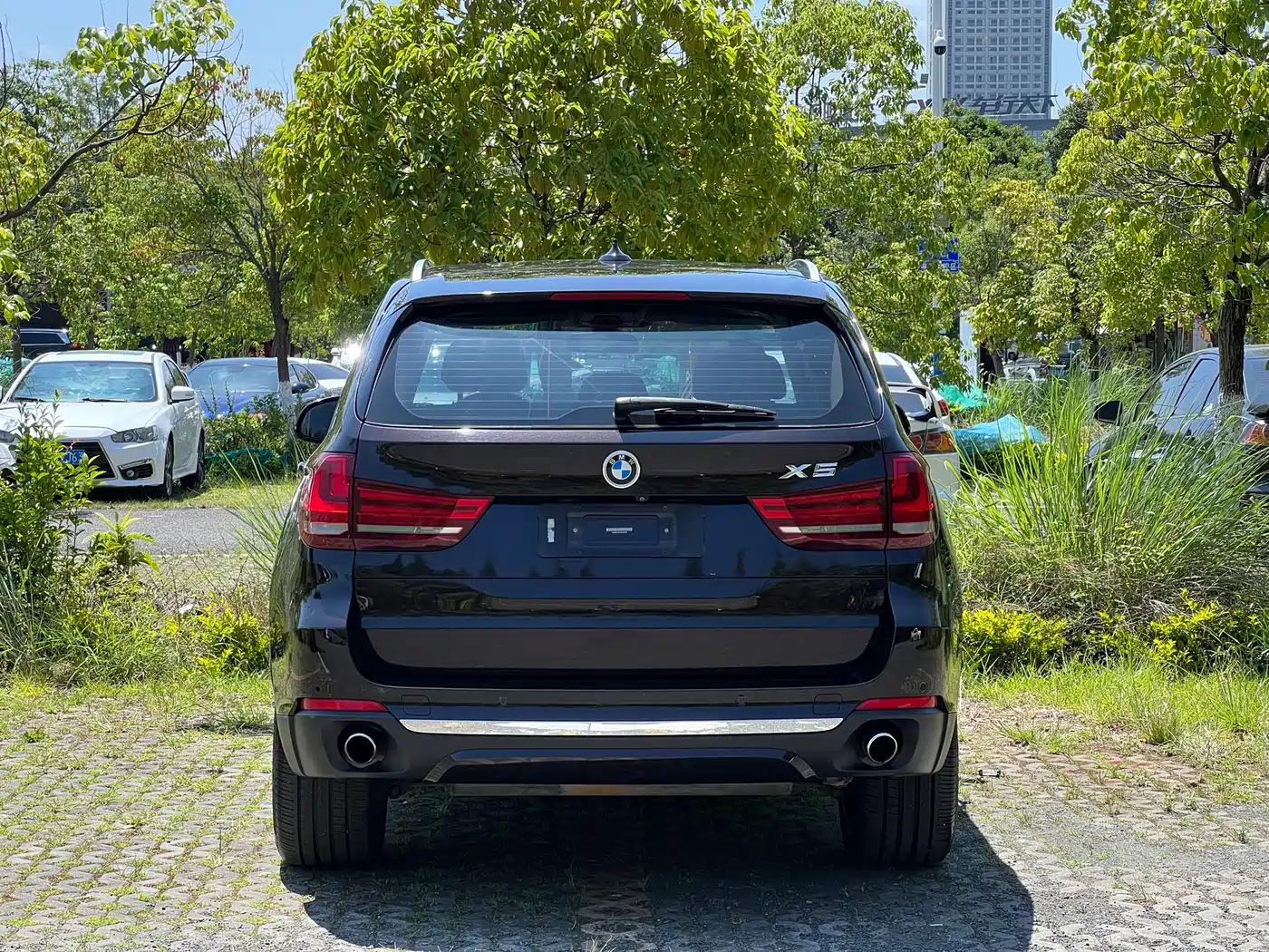 BMW X5 (Import) 2017 xDrive35i Elegance фото 18