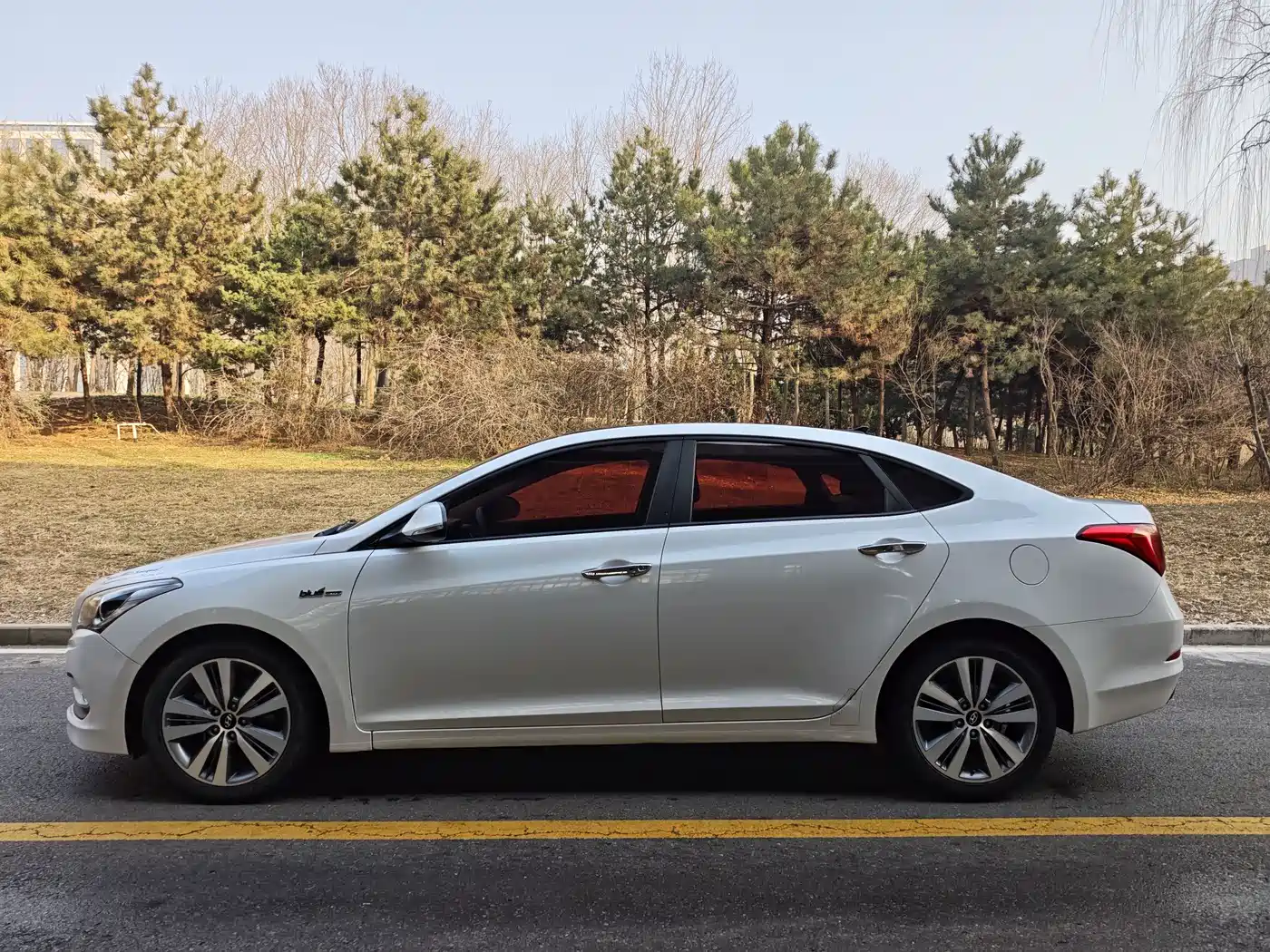 HYUNDAI NAME PICTURE